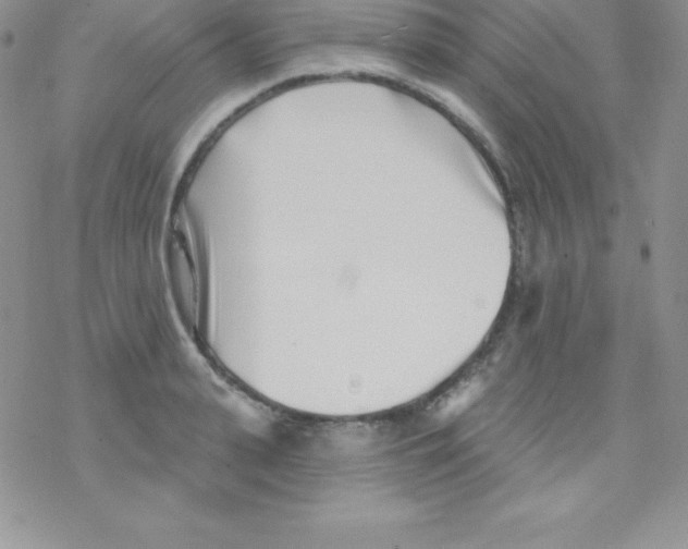 X0000077350943200611171854