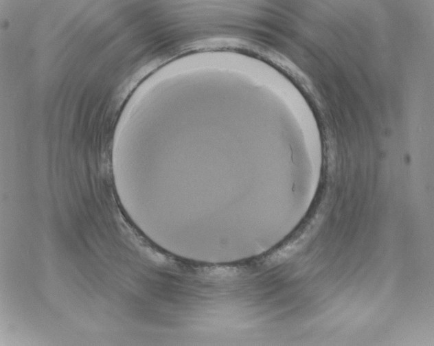 X0000077350945200611171855