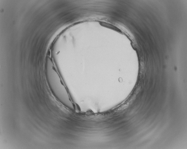 X0000077350948200611171855