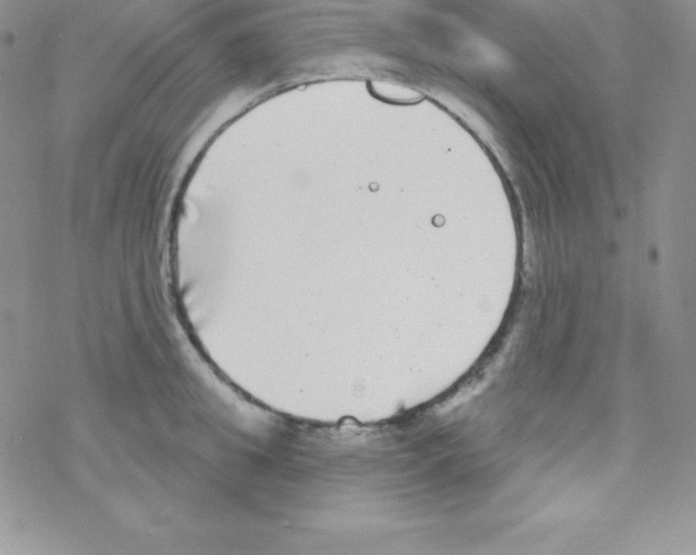 X0000077350949200611171855