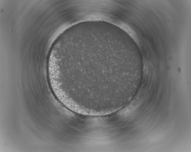 X0000077350950200611171855