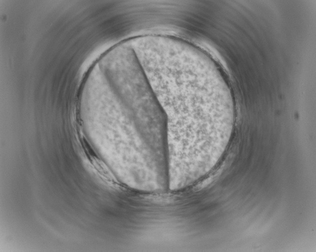 X0000077350952200611171855