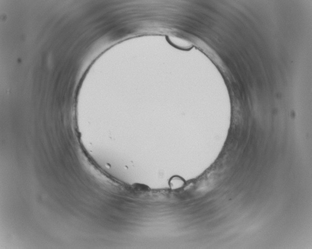 X0000077350955200611171855