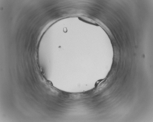 X0000077350956200611171855