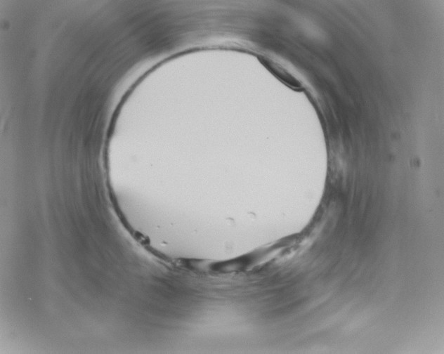 X0000077350959200611171855