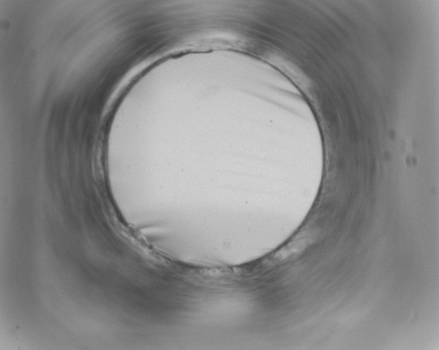 X0000077350960200611171855