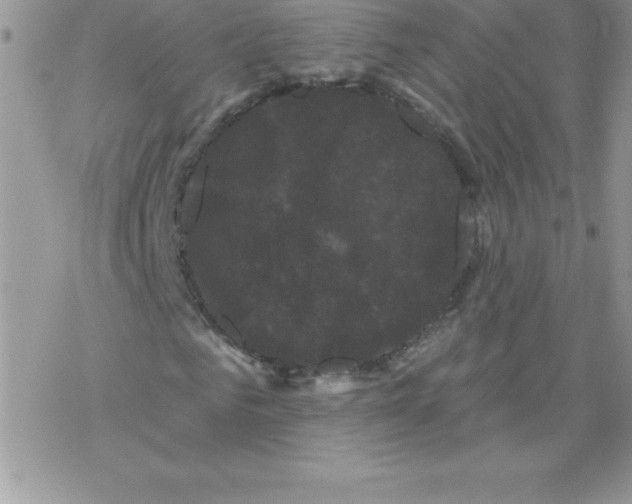 X0000077350961200611171854