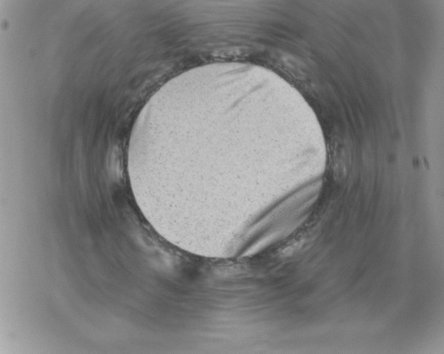 X0000077350962200611171854