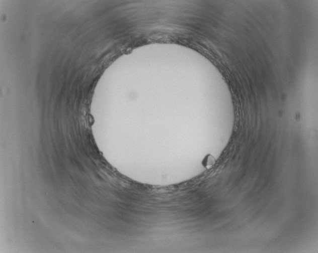 X0000077350964200611171854