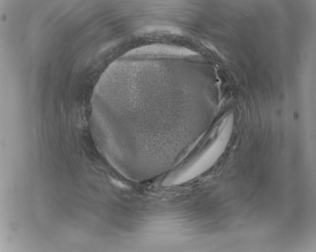 X0000077350965200611171854