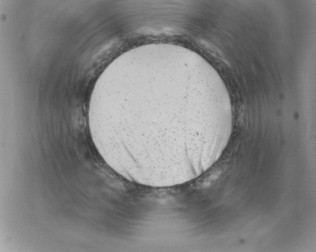 X0000077350966200611171854