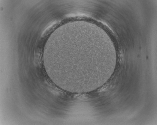 X0000077350967200611171854