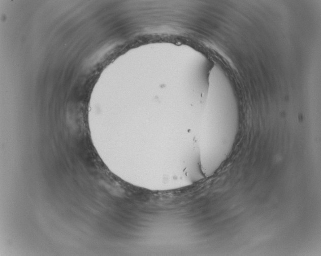 X0000077350968200611171854