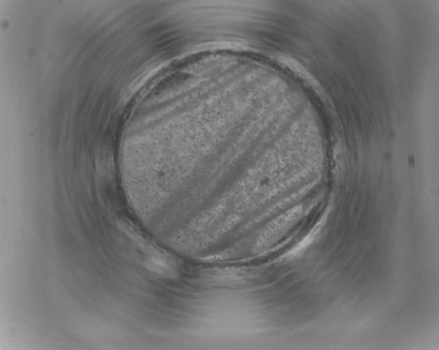 X0000077350969200611171854