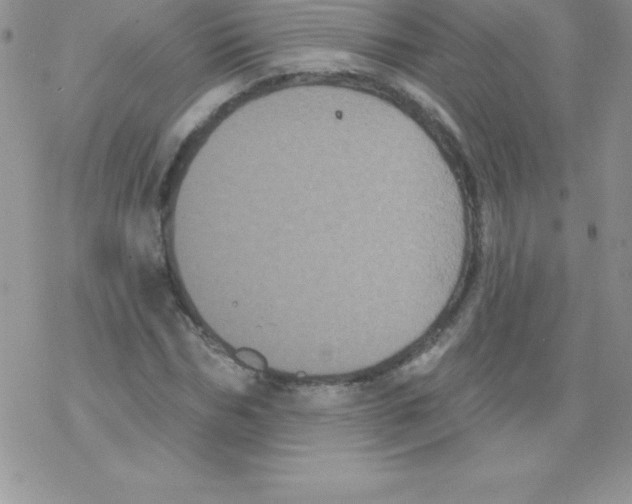 X0000077350970200611171854