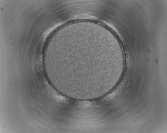 X0000077350971200611171854