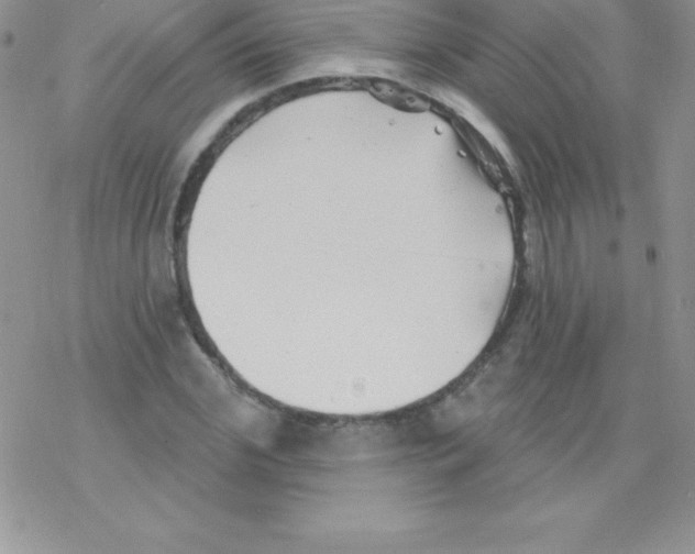 X0000077350972200611171854