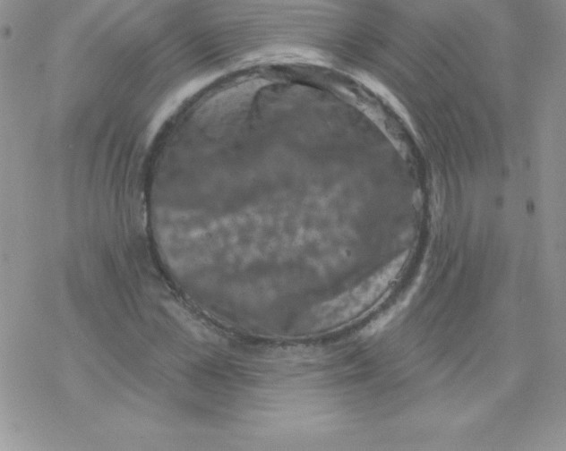 X0000077350973200611171854