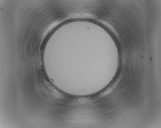 X0000077350974200611171854