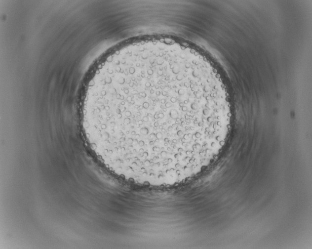 X0000077350975200611171854