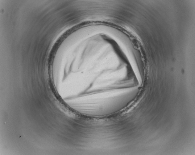 X0000077350976200611171854