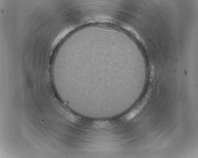 X0000077350978200611171854