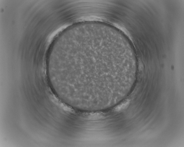 X0000077350979200611171854