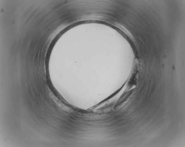 X0000077350980200611171854