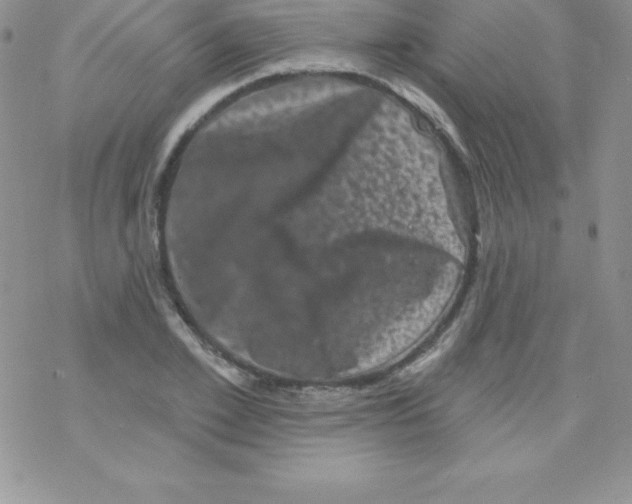 X0000077350981200611171854