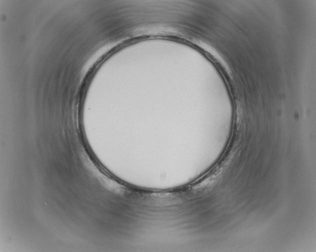 X0000077350983200611171854