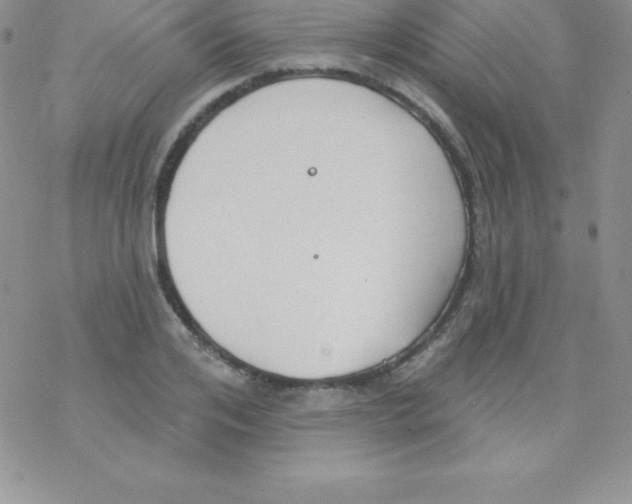 X0000077350984200611171854