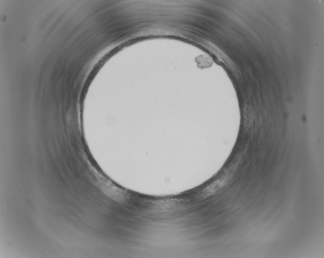 X0000077350988200611171854