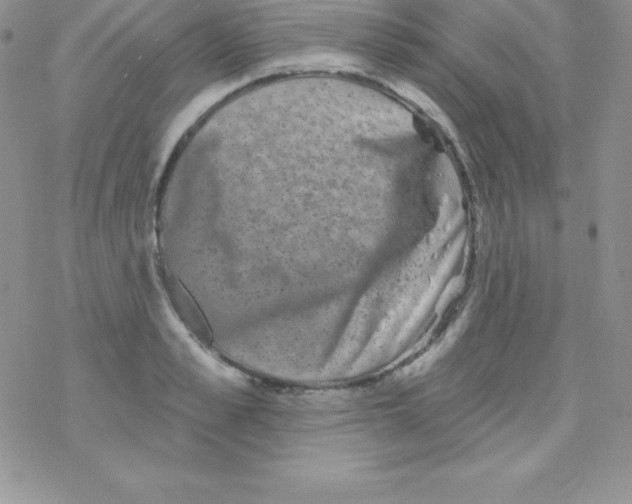 X0000077350989200611171854