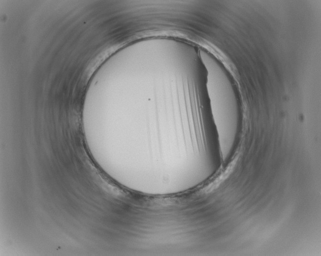 X0000077350993200611171853