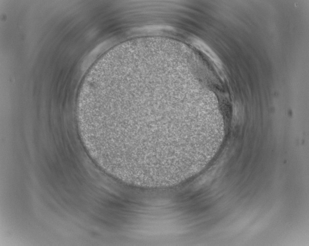 X0000077350994200611171853