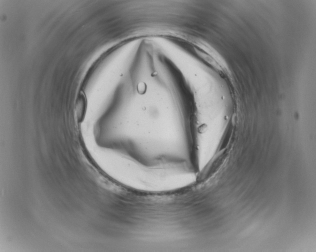 X0000077350996200611171853