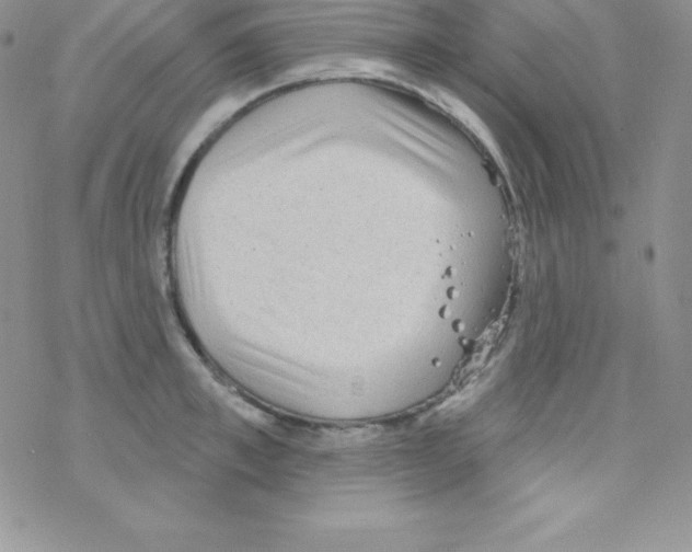 X0000077350997200611171853