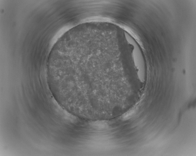 X0000077350998200611171853