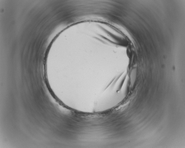 X0000077350999200611171853