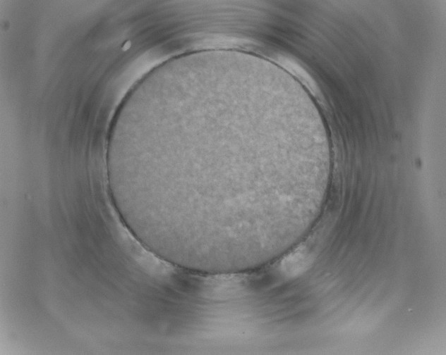 X0000077351000200611171853