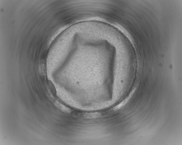 X0000077351001200611171853