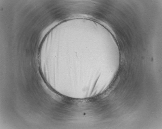 X0000077351003200611171853