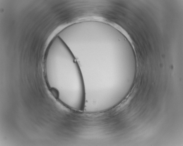 X0000077351005200611171853