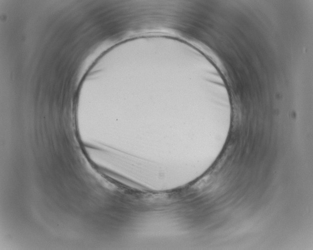 X0000077351006200611171853