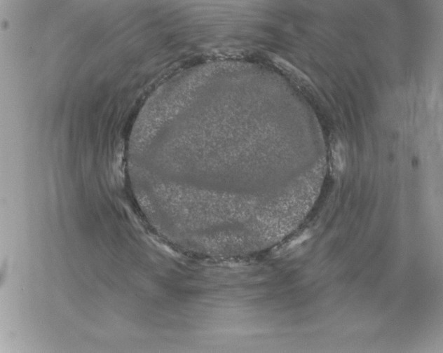 X0000077351010200611171852