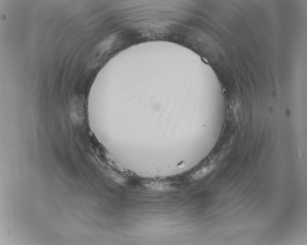 X0000077351012200611171853