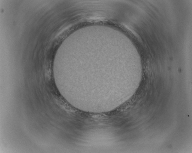 X0000077351015200611171853