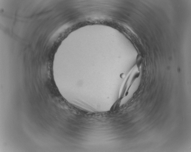 X0000077351016200611171853