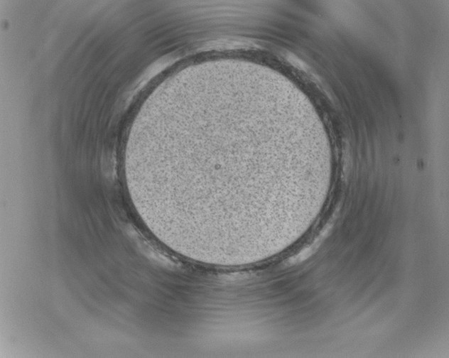 X0000077351017200611171853