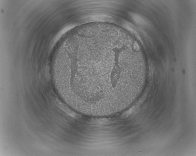 X0000077351019200611171853